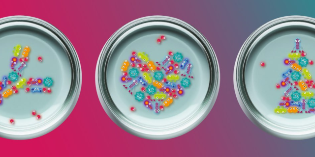 Коллективный иммунитет: Подарки 