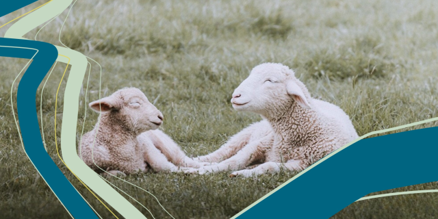 Анна Тюжина: Справедливый закон в защиту животных