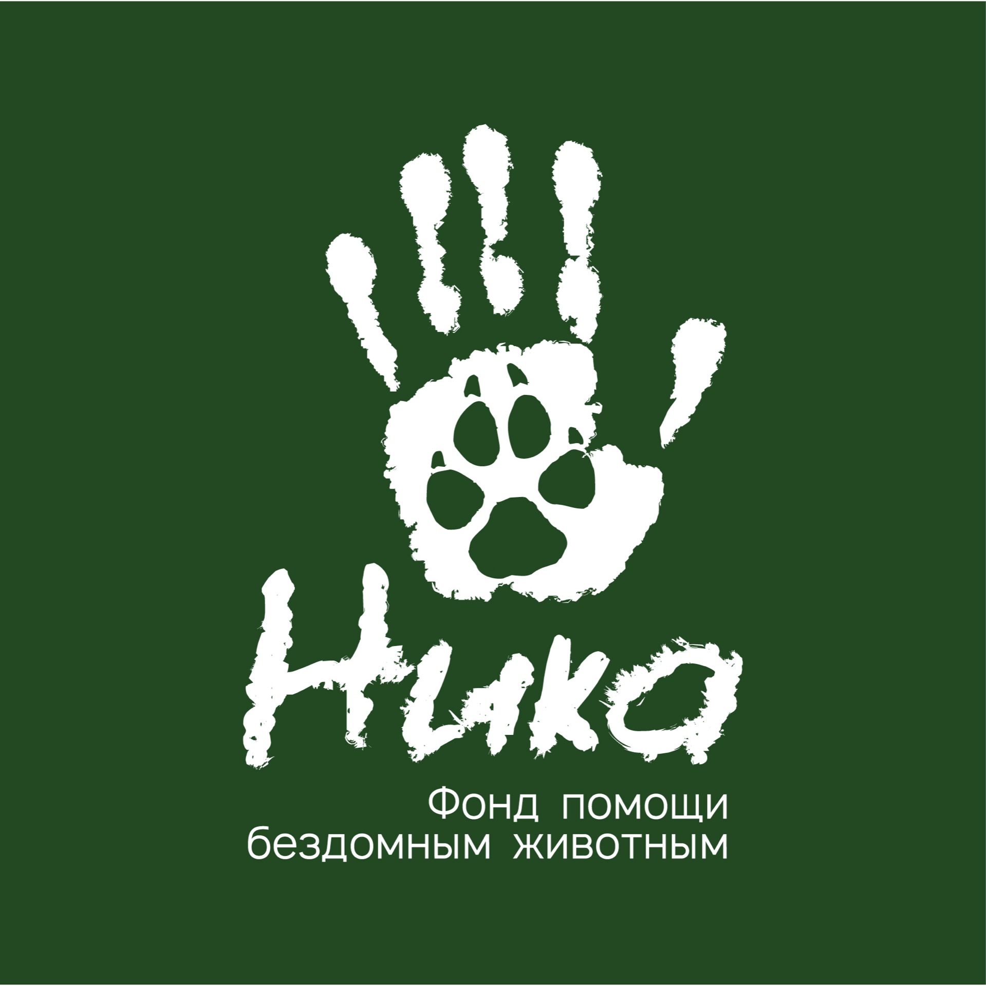 Лого проекта Ника